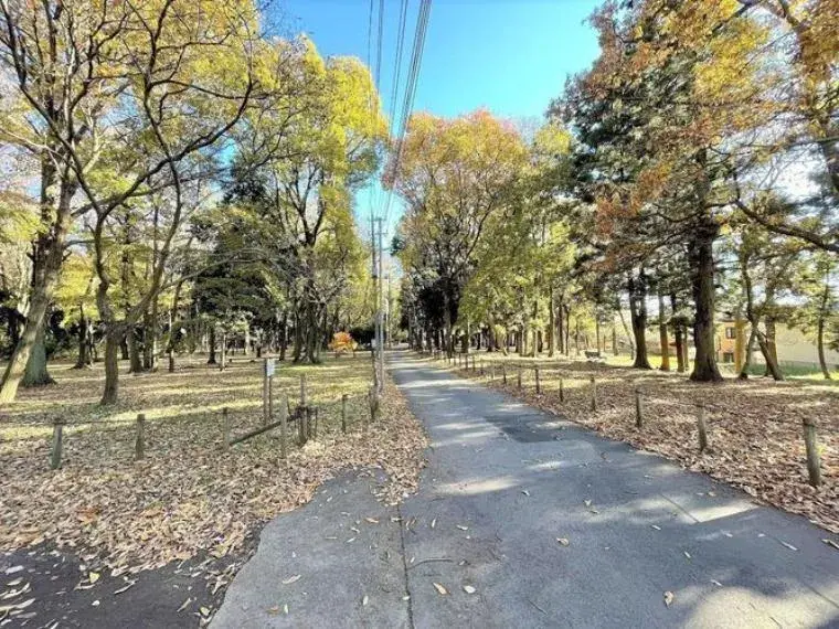 1LDK Nagareyama City Chiba Prefecture (13)