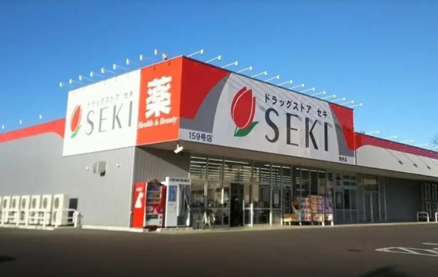 1LDK Nagareyama City Chiba Prefecture (17)