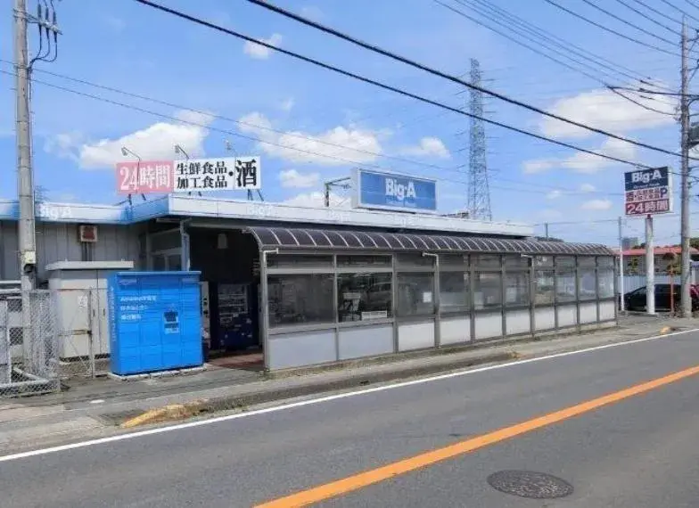 1LDK Nagareyama City Chiba Prefecture (19)