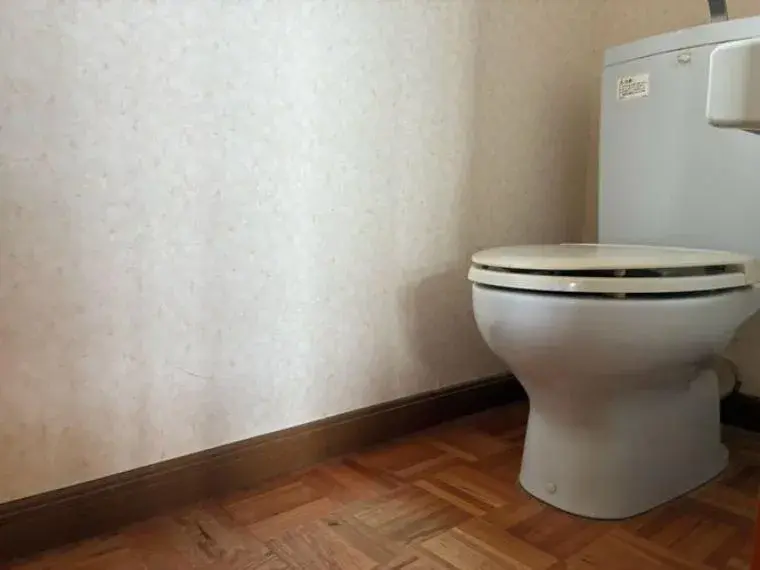 4DK House in Shizuoka City, Shizuoka Prefecture (16)