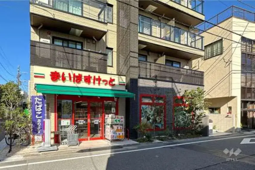 2LDK Property Kita-ku Tokyo (9)