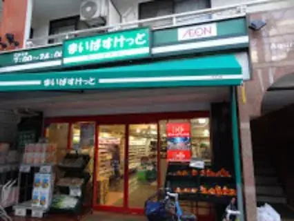 4LDK Property Meguro Ward Tokyo (13)
