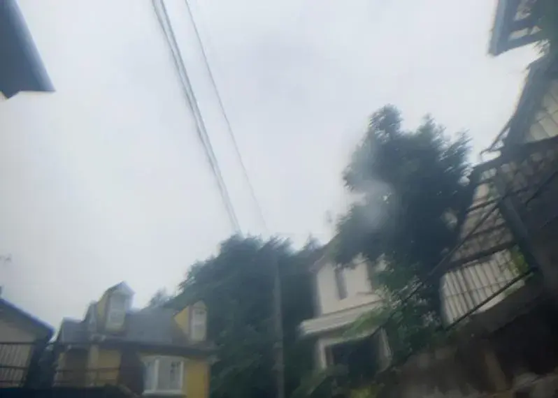 Slide 8