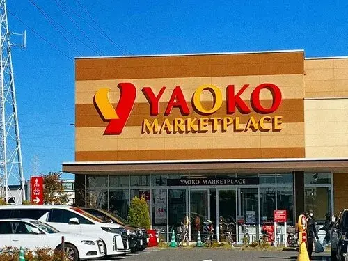 4LDK房产 八潮市 埼玉县 (11)