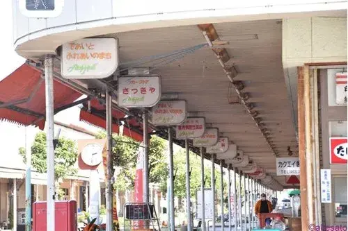 4LDK+S 佐倉市 千葉県 (20)