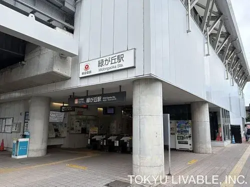 1LDK+2S Property Setagaya-ku Tokyo (9)