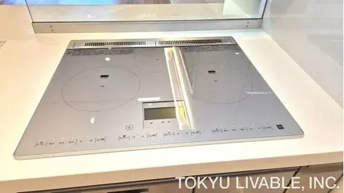 5LDK Недвижимость в районе Сумида, Токио (19)
