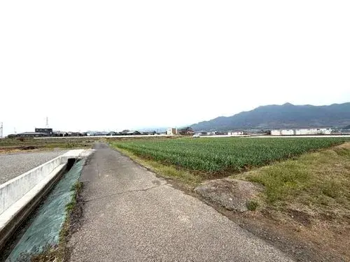 Slide 8