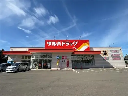 4LDK Property Sapporo City Hokkaido (28)