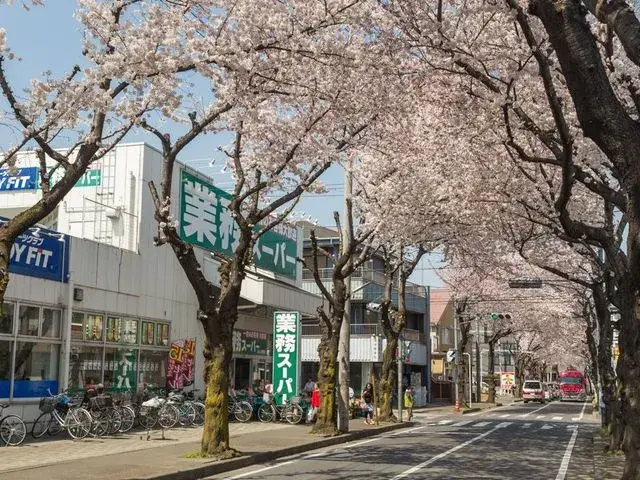 3LDK Fujimino City Saitama Prefecture (15)