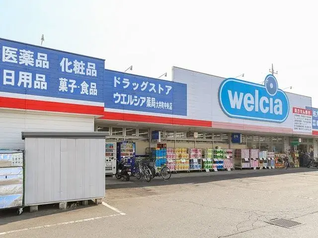 3LDK Fujimino City Saitama Prefecture (17)