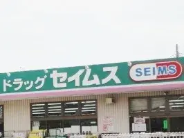 5K Property Kasukabe City Saitama (18)