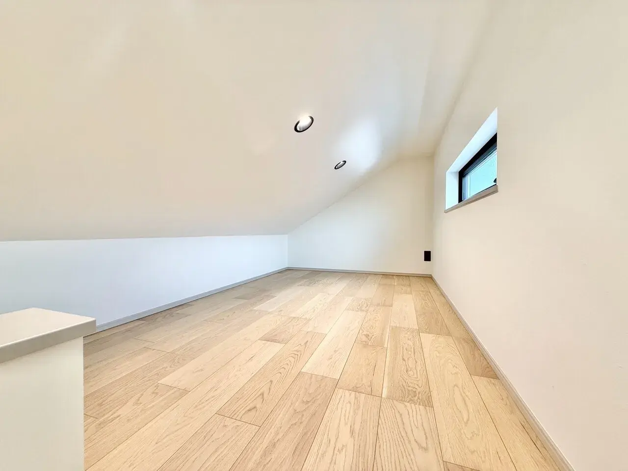 2SLDK Property Shinjuku-ku Tokyo (21)