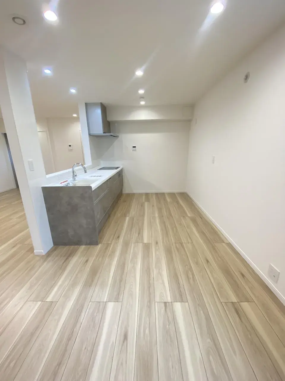 4LDK Property Nerima Ward Tokyo (10)