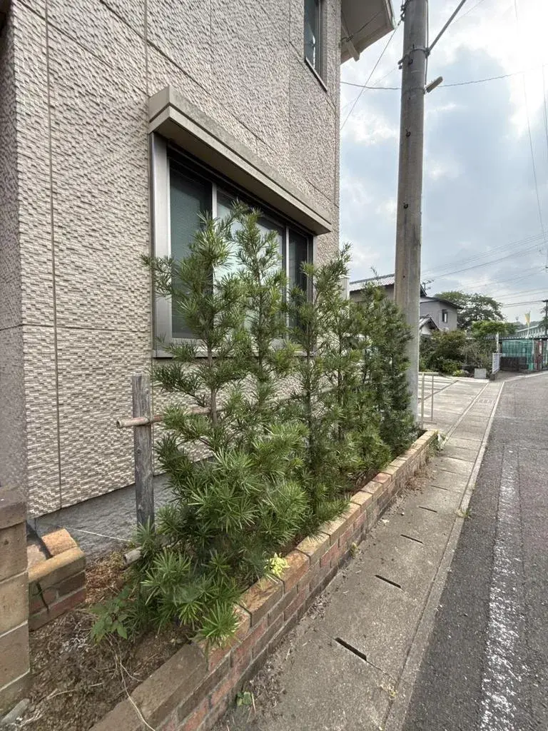 5SLDK Ciudad de Fujieda Prefectura de Shizuoka (2)