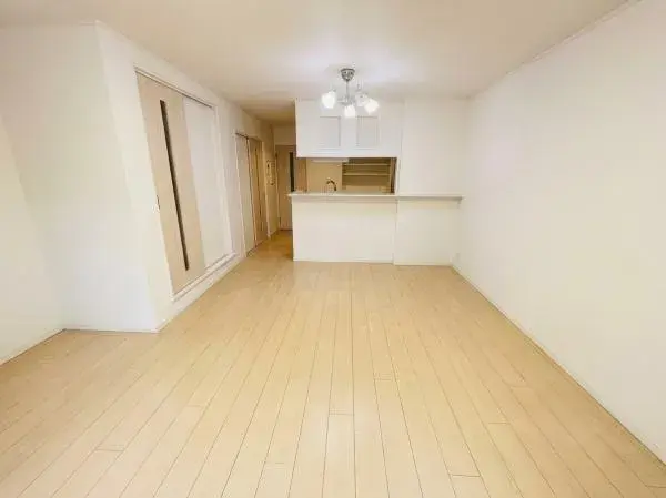 4LDK Property Osaka City Osaka Prefecture (4)