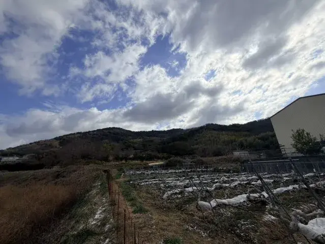6DK Property Wakayama City Wakayama Prefecture (5)