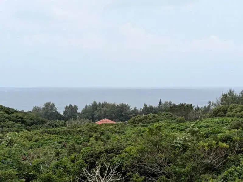 2LDK Property Ishigaki City Okinawa Prefecture (17)