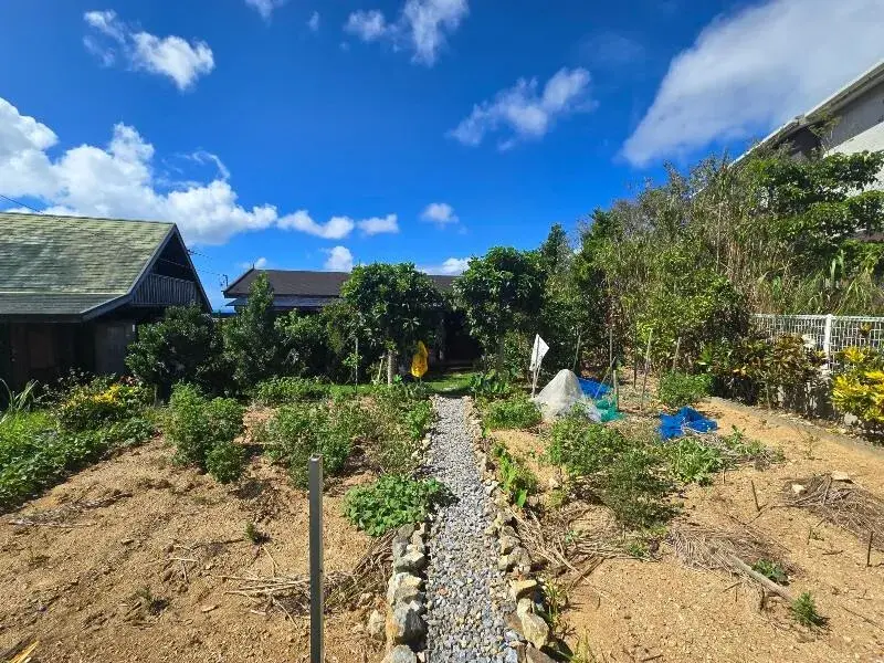 Akiya in Okinawa