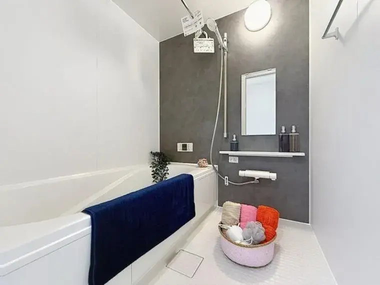 2SLDK Property Ichikawa City Chiba Prefecture (25)