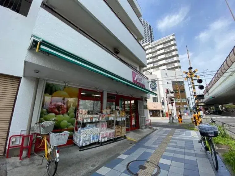 2LDK Property Katsushika-ku Tokyo (22)