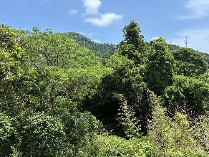1LDK
鸭川市
千叶县 (6)