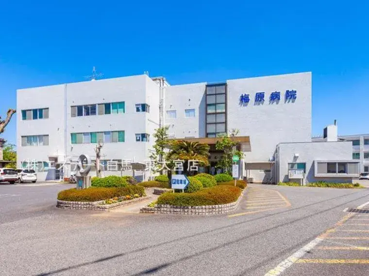 4LDK Miyashiro-machi, Minamisaitama-gun, Saitama (23)