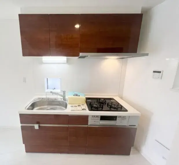 2SLDK Property Koto Ward Tokyo (6)