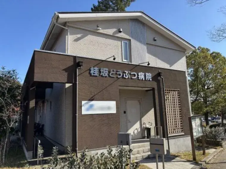 4LDK物件 京都市西京区 京都府 (16)