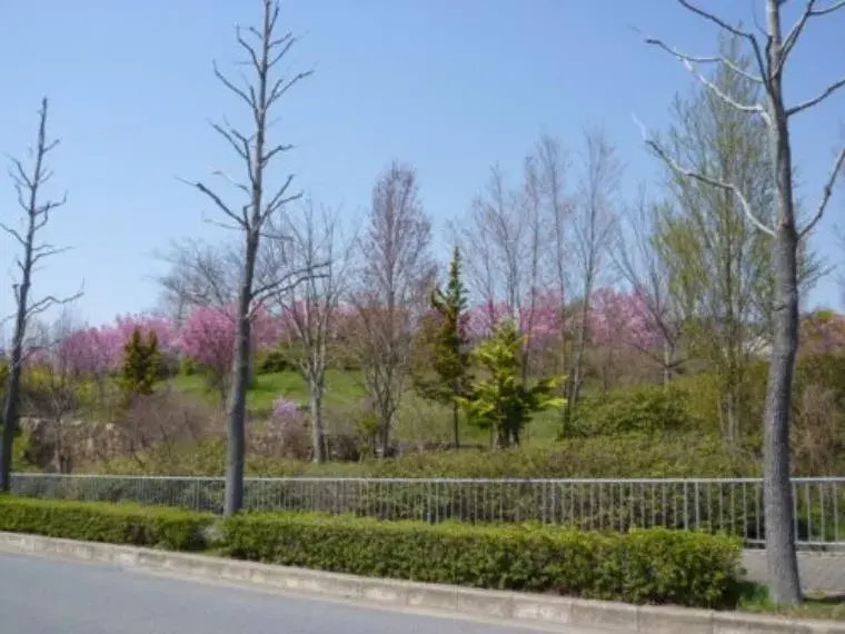4LDK物件 京都市西京区 京都府 (28)