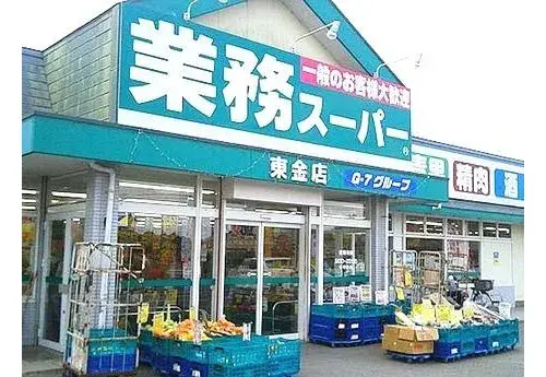 4LDK房产 东金市 千叶县 (19)