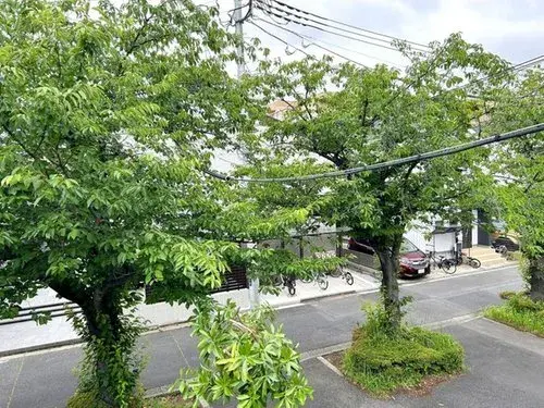 4LDK Katsushika-ku Tokyo (18)