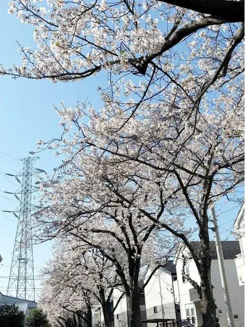 4LDK Katsushika-ku Tokyo (19)