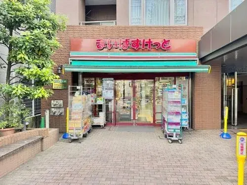 Tokyo Bunkyo-ku 3LDK Property (17)