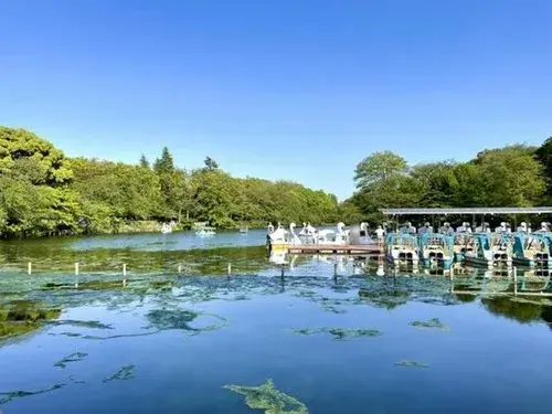2LDK Property Mitaka City Tokyo (12)
