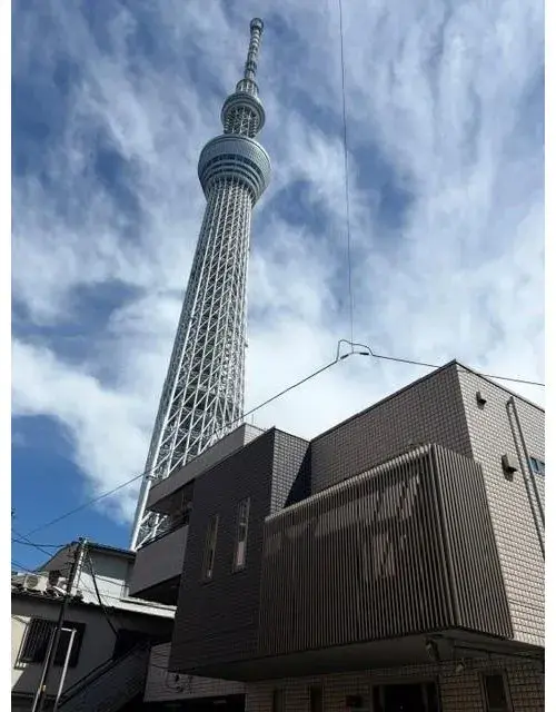 3LDK+S Property Sumida-ku Tokyo (2)