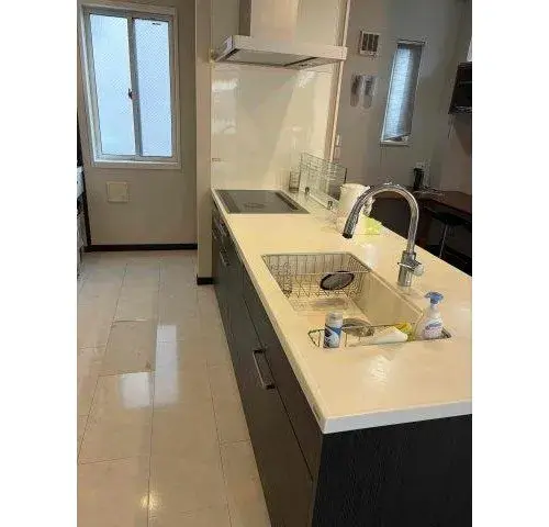 3LDK+S Property Sumida-ku Tokyo (13)