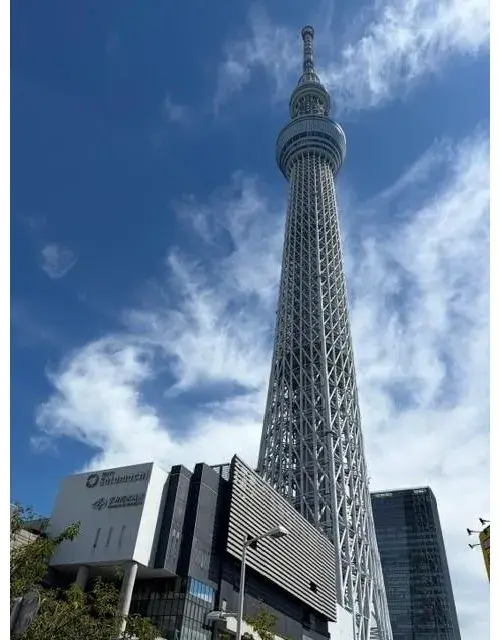 3LDK+S Property Sumida-ku Tokyo (5)