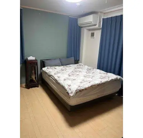 3LDK+S Property Sumida-ku Tokyo (7)