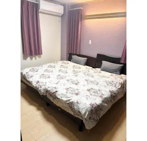 3LDK+S Property Sumida-ku Tokyo (8)