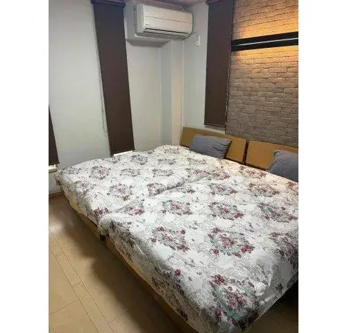 3LDK+S Property Sumida-ku Tokyo (9)