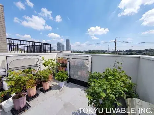 1LDK+S Property Takatsu Ward, Kawasaki City Kanagawa Prefecture (2)