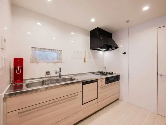 2SLDK Property Katsushika-ku Tokyo (15)