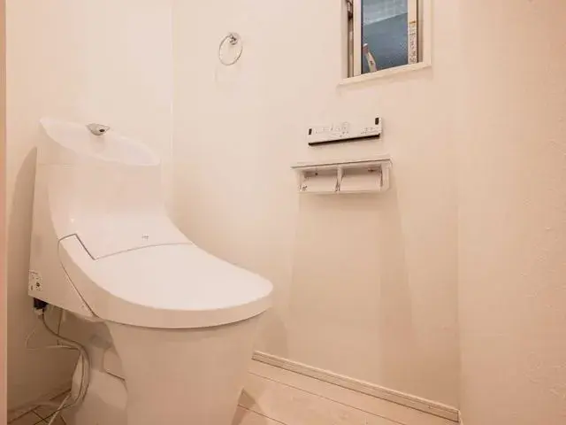 2SLDK Property Katsushika-ku Tokyo (17)