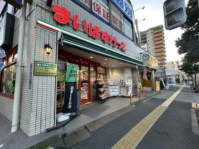 3SLDK Property Kita-ku Tokyo (28)
