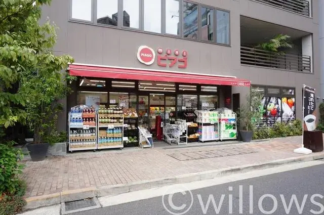 3SLDK Property Minato-ku Tokyo (10)