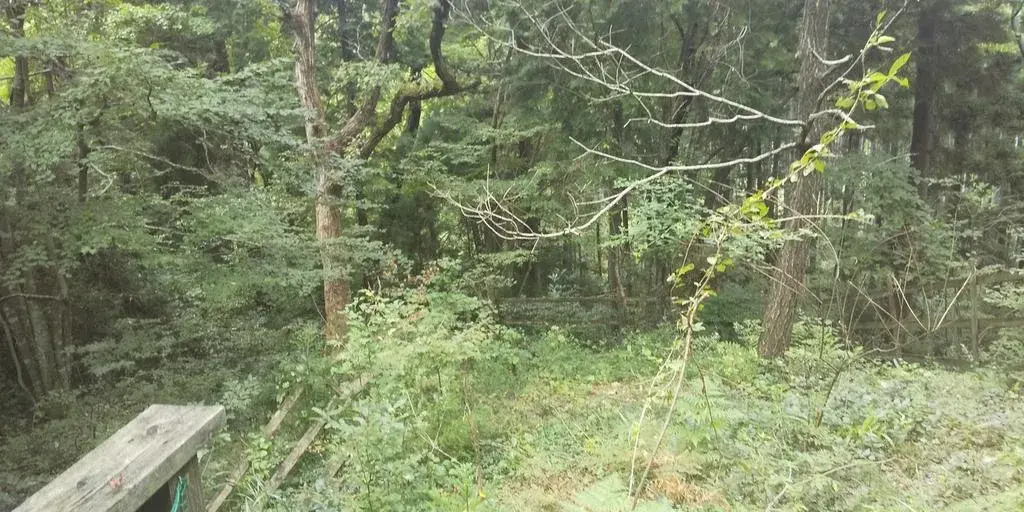 单间房源 高岛市 滋贺县 (7)