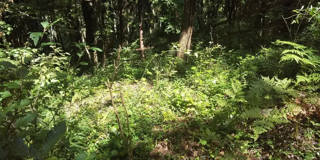 单间房源 高岛市 滋贺县 (8)