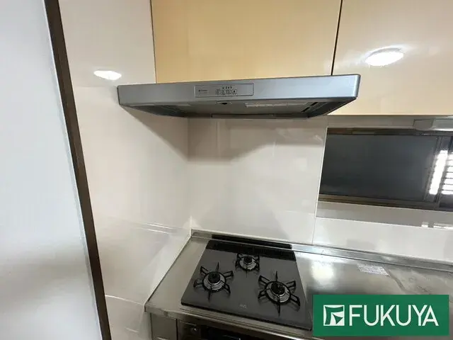 3LDK Property Osaka City Osaka Prefecture (15)