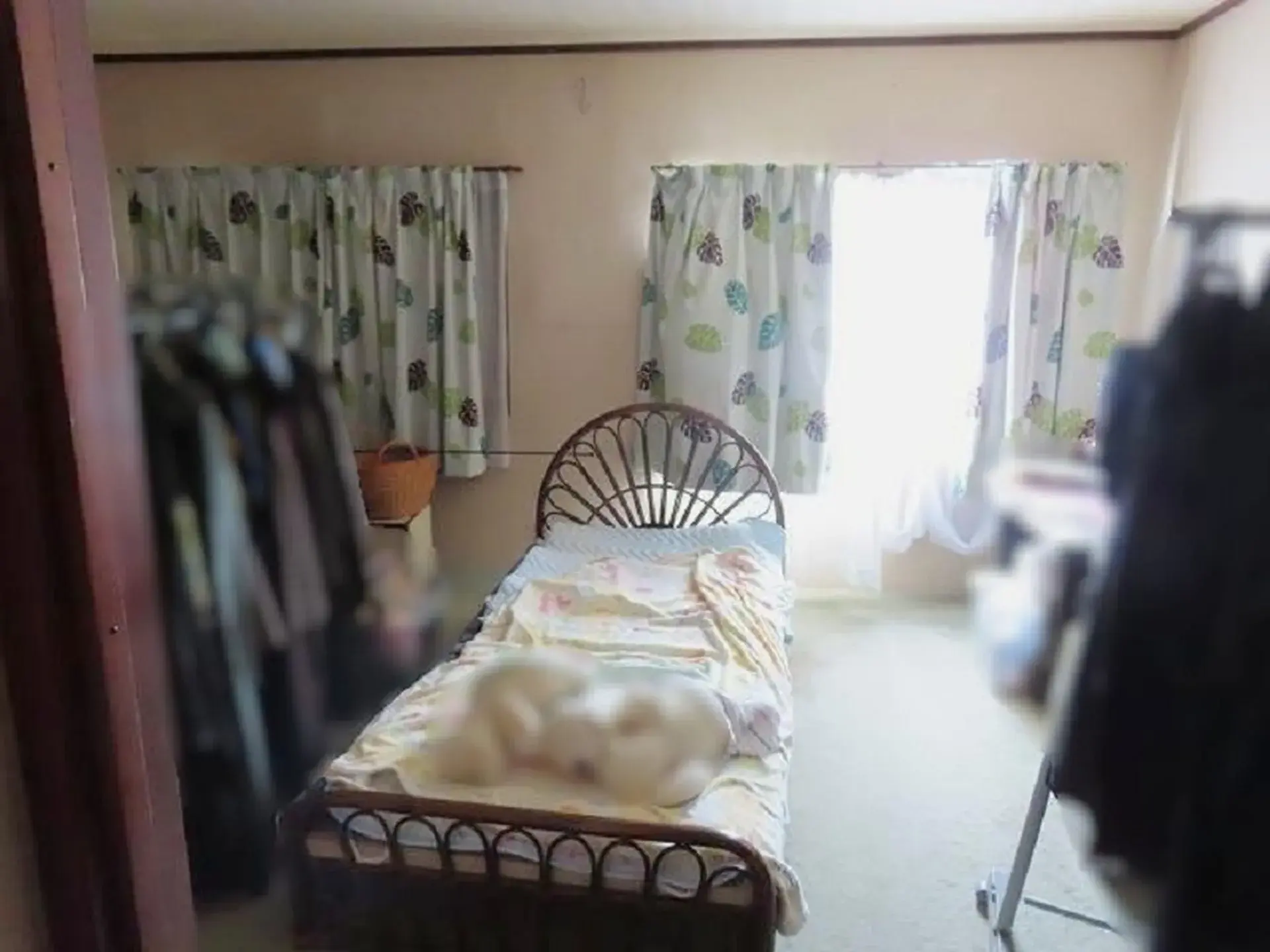 5LDK Property, Kochi City, Kochi Prefecture (6)